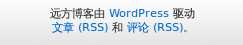 wordpress 模板文件footer