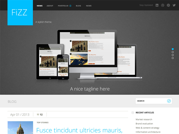 wordpress Fizz主题使用教程