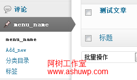 自定义文章类型添加分类支持