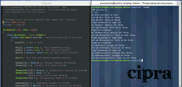 C++ 单元测试框架 cipra