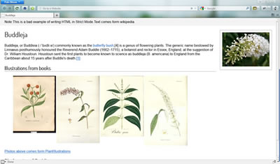HTML Strict Mode验证器 Buddleja Debugger