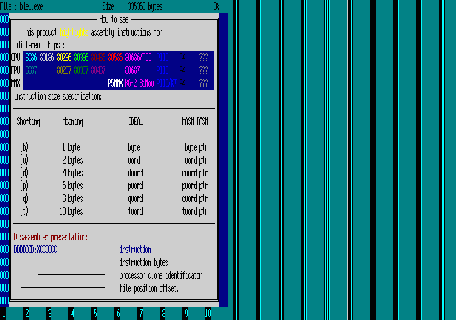 二进制编辑器 biew
