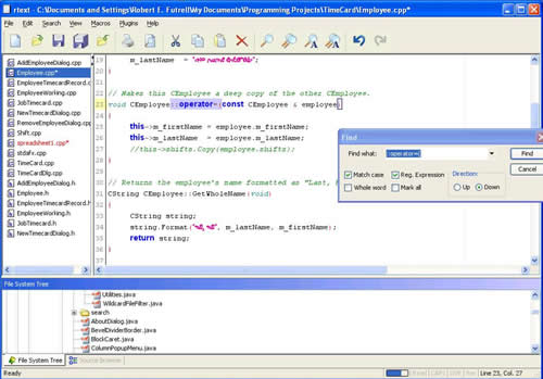 程序文本编辑器 RText