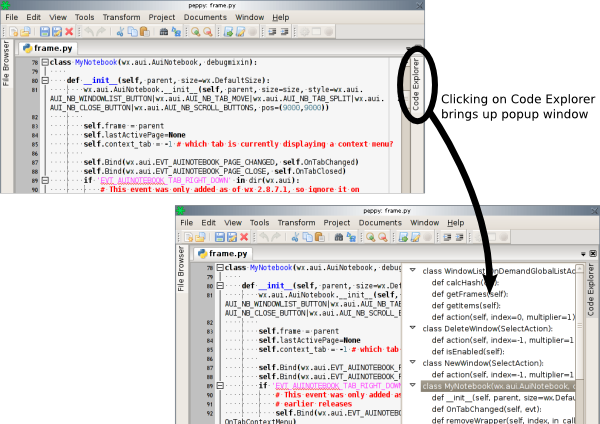 文本编辑器 peppy